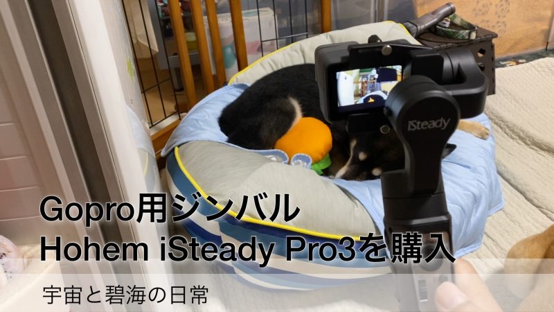 柴犬の散歩にアクションカム用ジンバルのHohem「iSteady Pro3」購入 